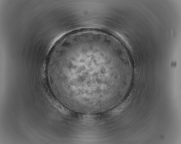 X0000090900875200707301410