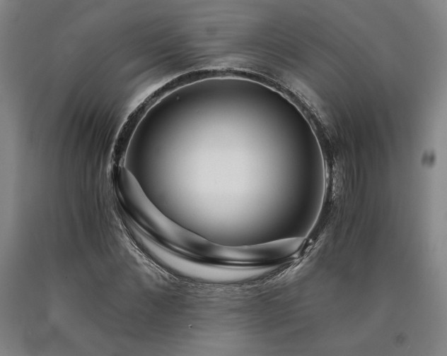 X0000090900876200707301410