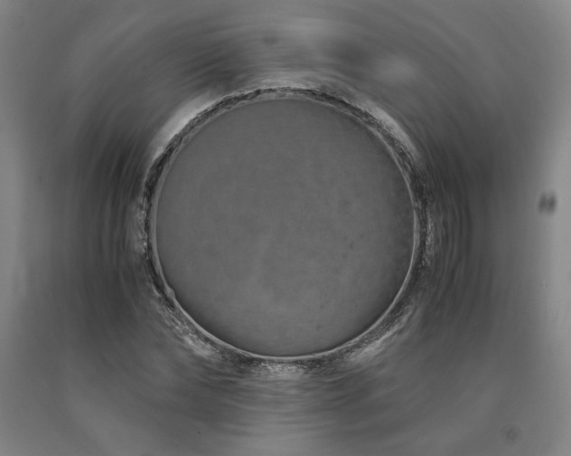 X0000090900878200707301410