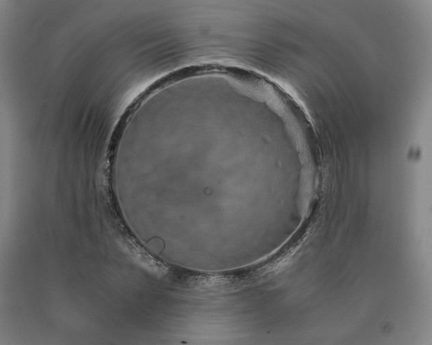 X0000090900879200707301410