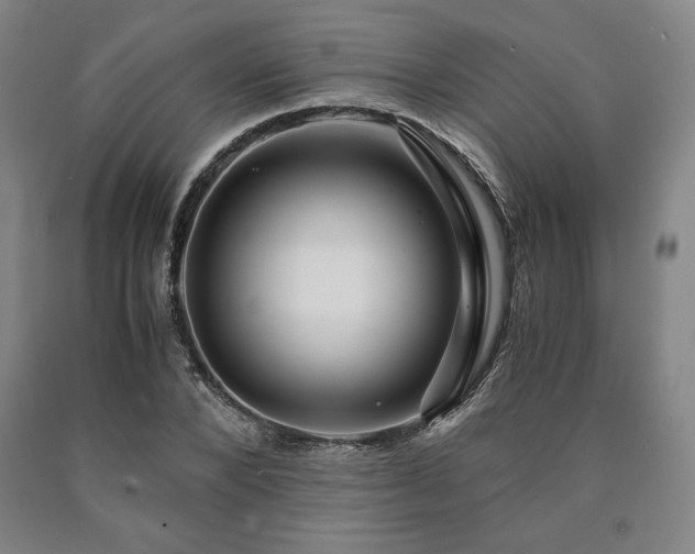 X0000090900880200707301410