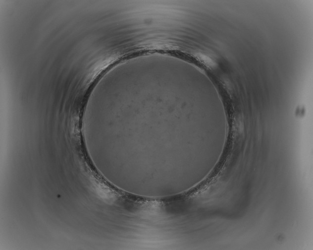 X0000090900881200707301410