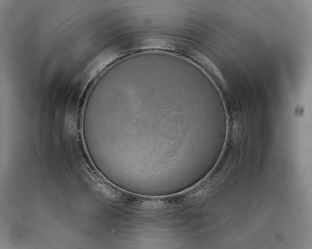 X0000090900882200707301410
