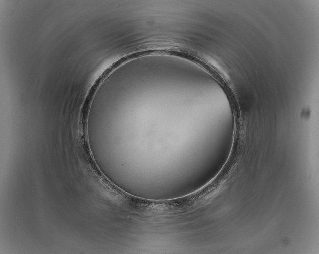 X0000090900883200707301410