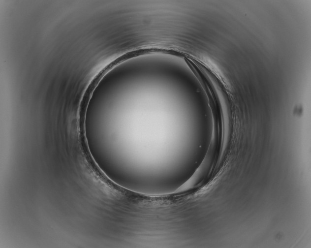 X0000090900884200707301410