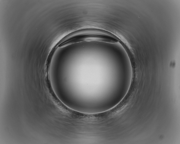 X0000090900885200707301410