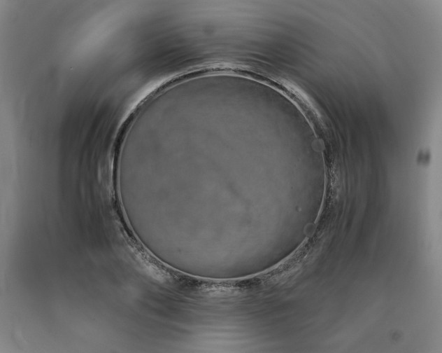 X0000090900886200707301410
