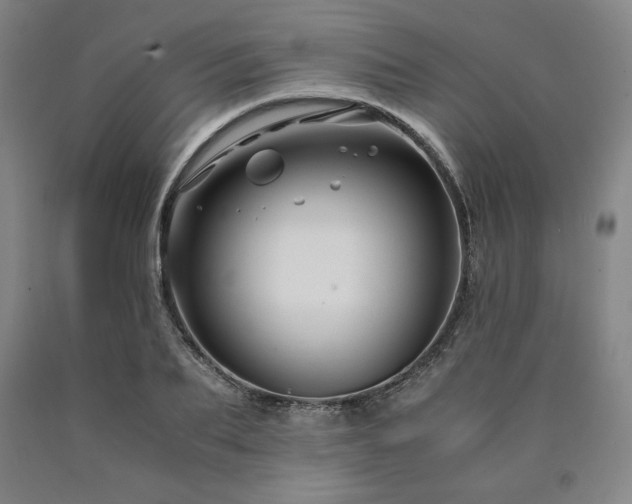 X0000090900887200707301410