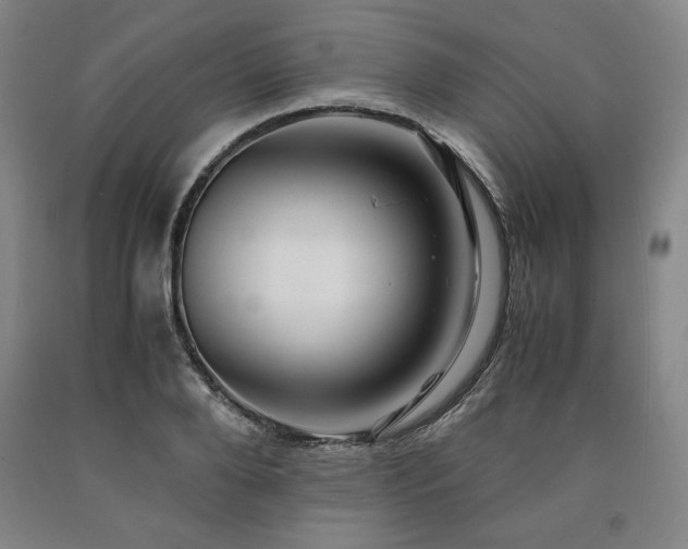 X0000090900888200707301410