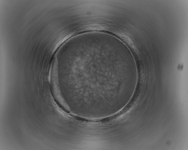 X0000090900889200707301410
