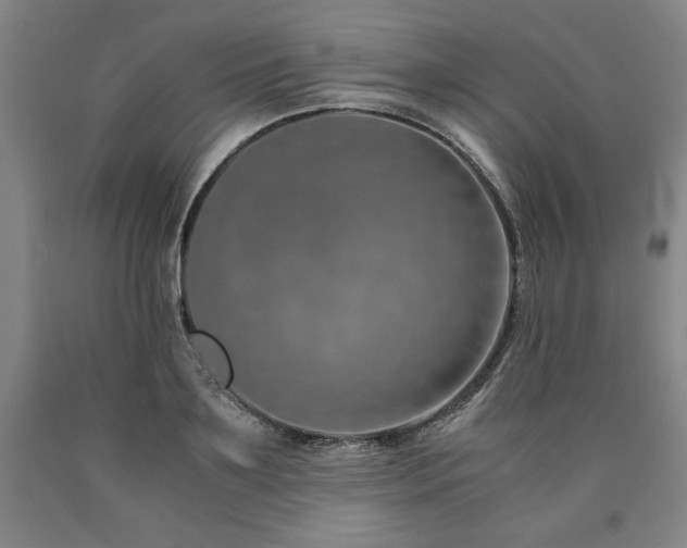 X0000090900891200707301410