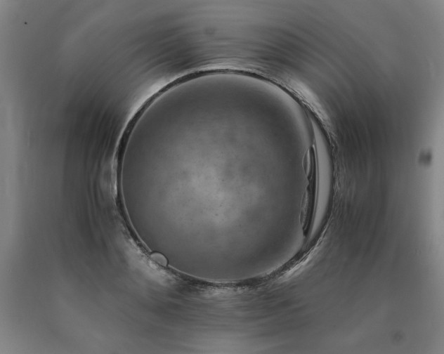 X0000090900892200707301410
