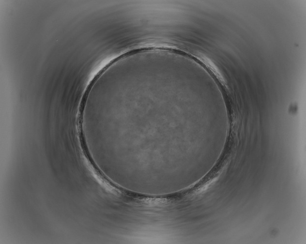 X0000090900893200707301410
