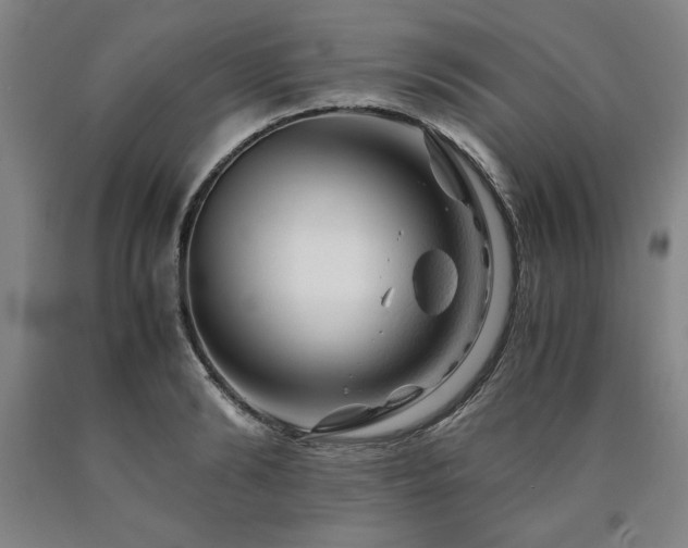 X0000090900894200707301410