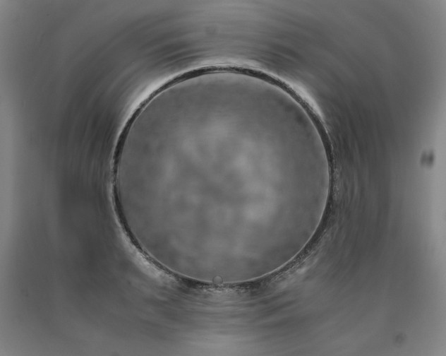 X0000090900895200707301410