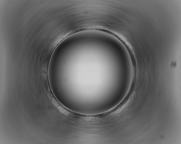 X0000090900897200707301410