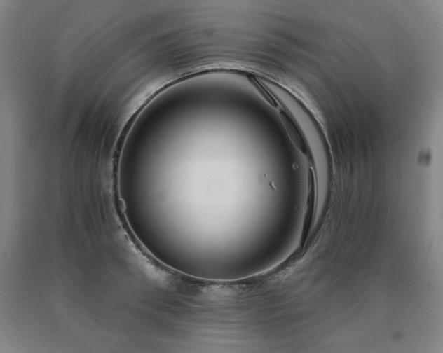 X0000090900898200707301410
