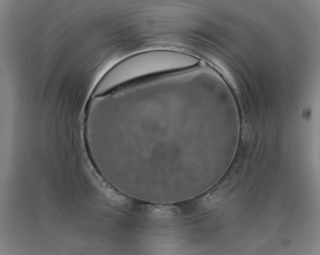X0000090900899200707301410