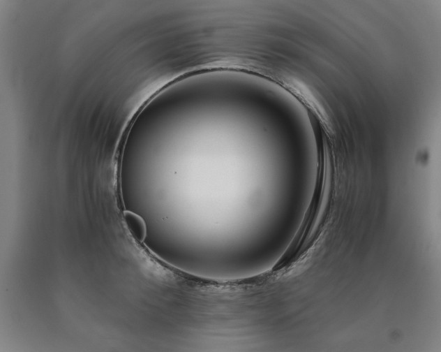 X0000090900900200707301410