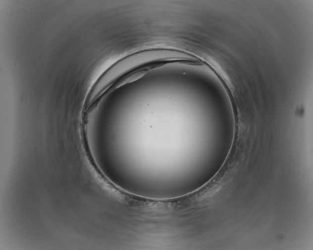 X0000090900901200707301410