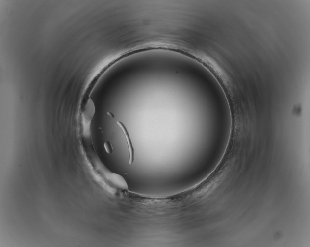 X0000090900902200707301410