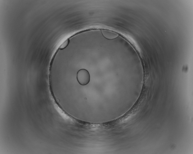 X0000090900903200707301410