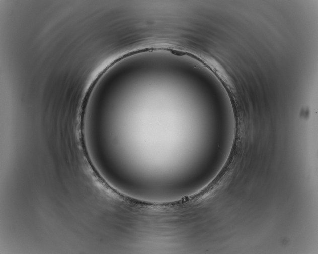 X0000090900904200707301410