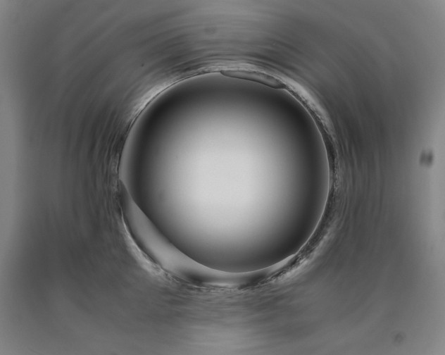 X0000090900905200707301410