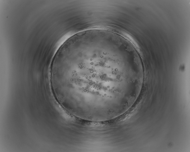 X0000090900907200707301410