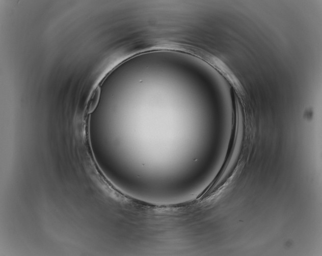 X0000090900908200707301410