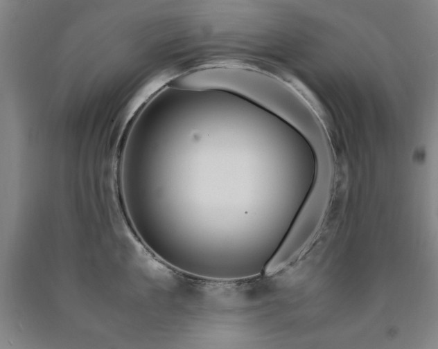 X0000090900909200707301410