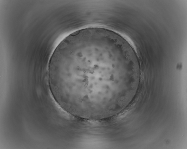 X0000090900911200707301410