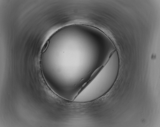 X0000090900912200707301410