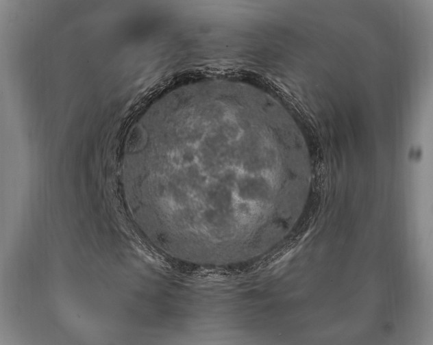 X0000090900913200707301409