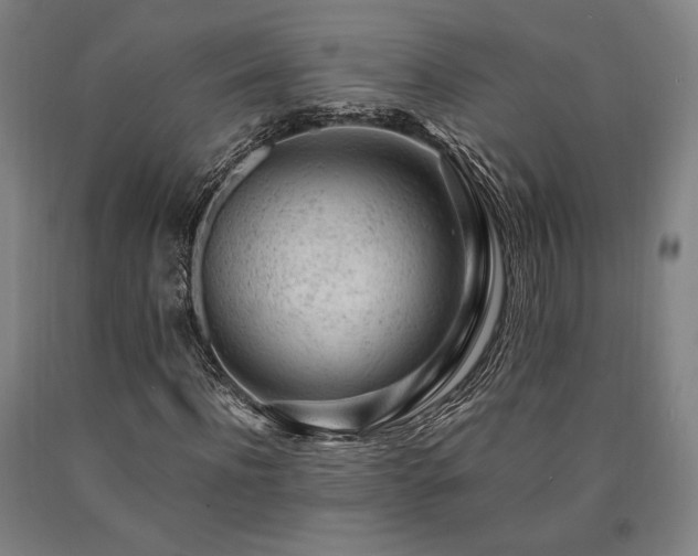 X0000090900916200707301409