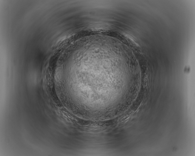X0000090900917200707301409