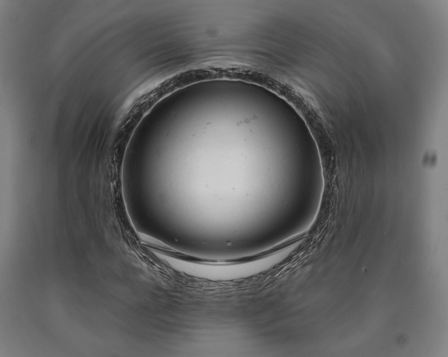 X0000090900920200707301409