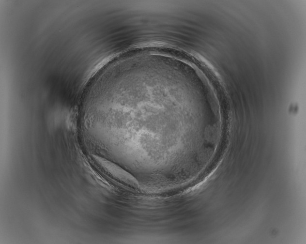 X0000090900921200707301409