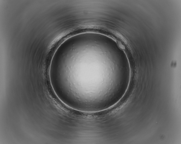 X0000090900922200707301409