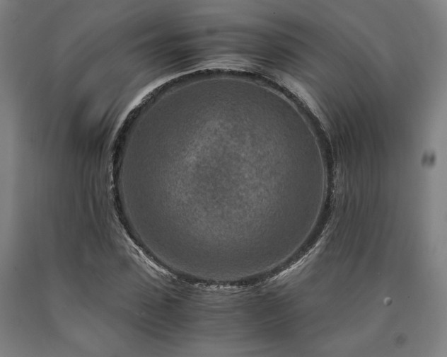 X0000090900923200707301409