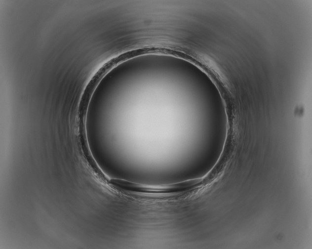 X0000090900924200707301409