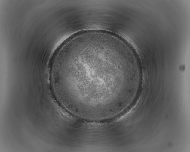 X0000090900925200707301409