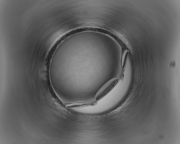 X0000090900926200707301409