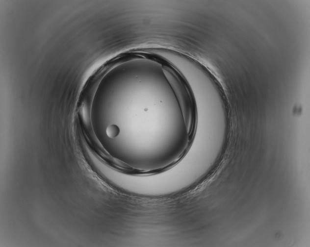 X0000090900928200707301409