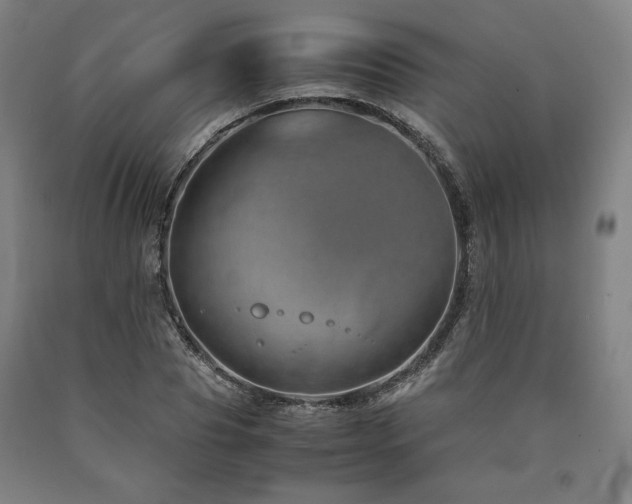 X0000090900929200707301410