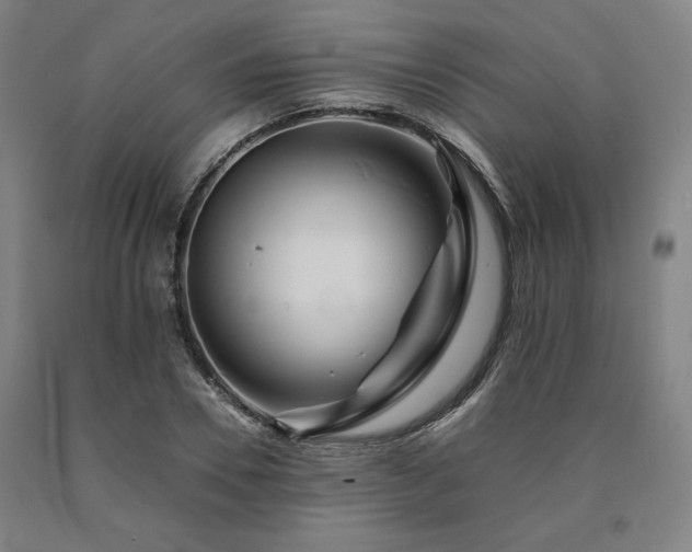 X0000090900930200707301410