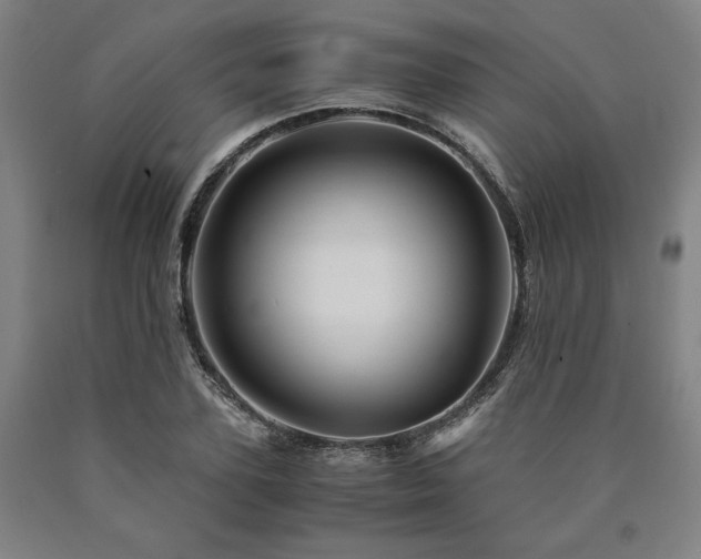 X0000090900931200707301410