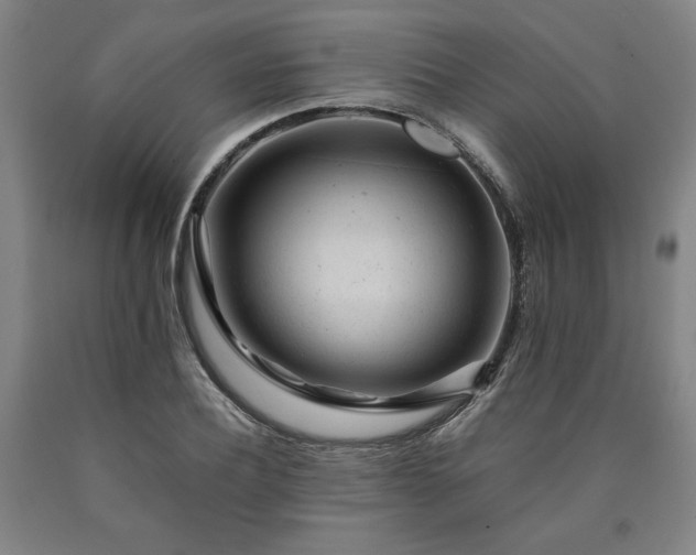 X0000090900932200707301410
