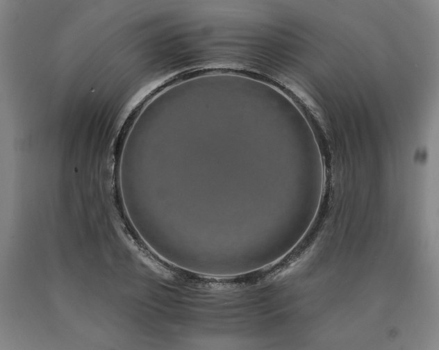 X0000090900933200707301410