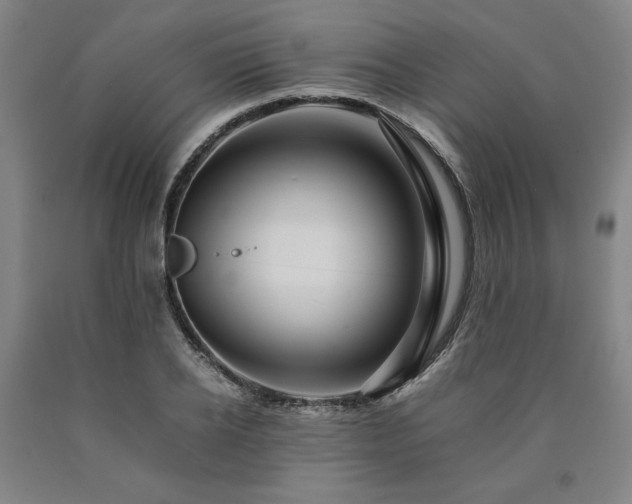 X0000090900934200707301410